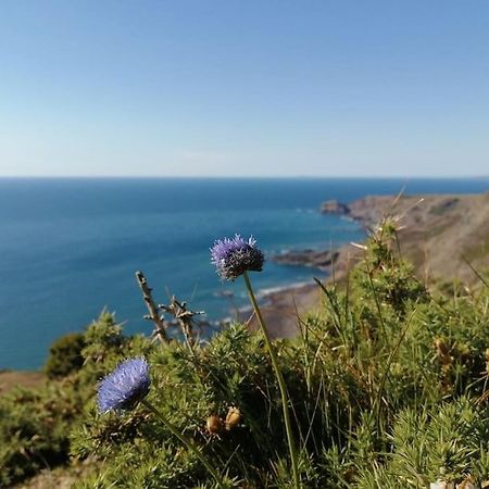 Kiberick Cottage At Crackington Haven, Near Bude And Boscastle, Cornwall Ngoại thất bức ảnh