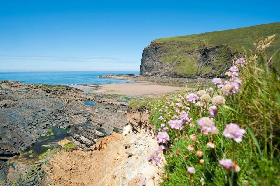 Kiberick Cottage At Crackington Haven, Near Bude And Boscastle, Cornwall Ngoại thất bức ảnh