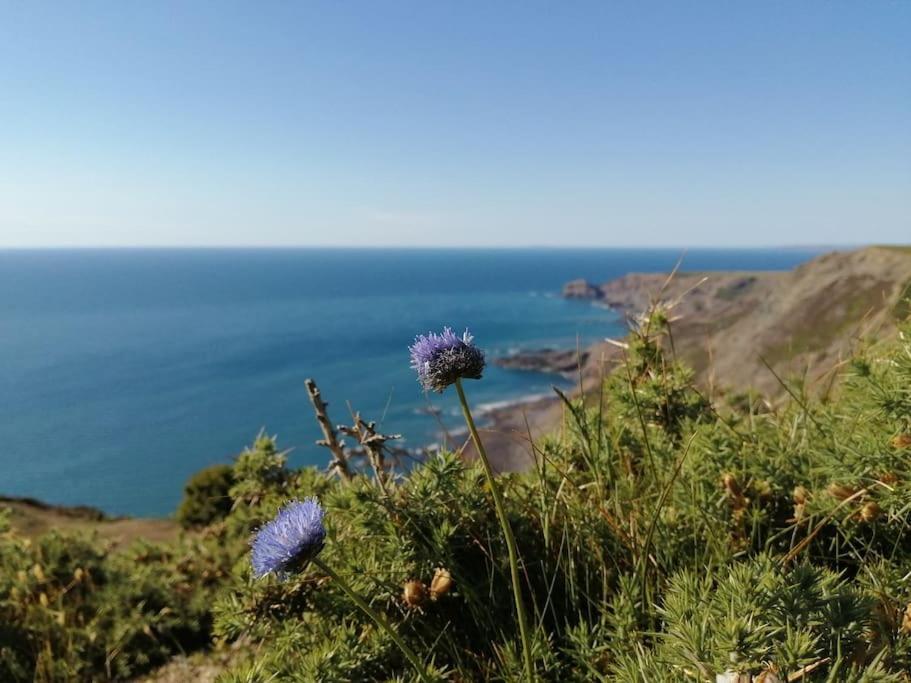 Kiberick Cottage At Crackington Haven, Near Bude And Boscastle, Cornwall Ngoại thất bức ảnh